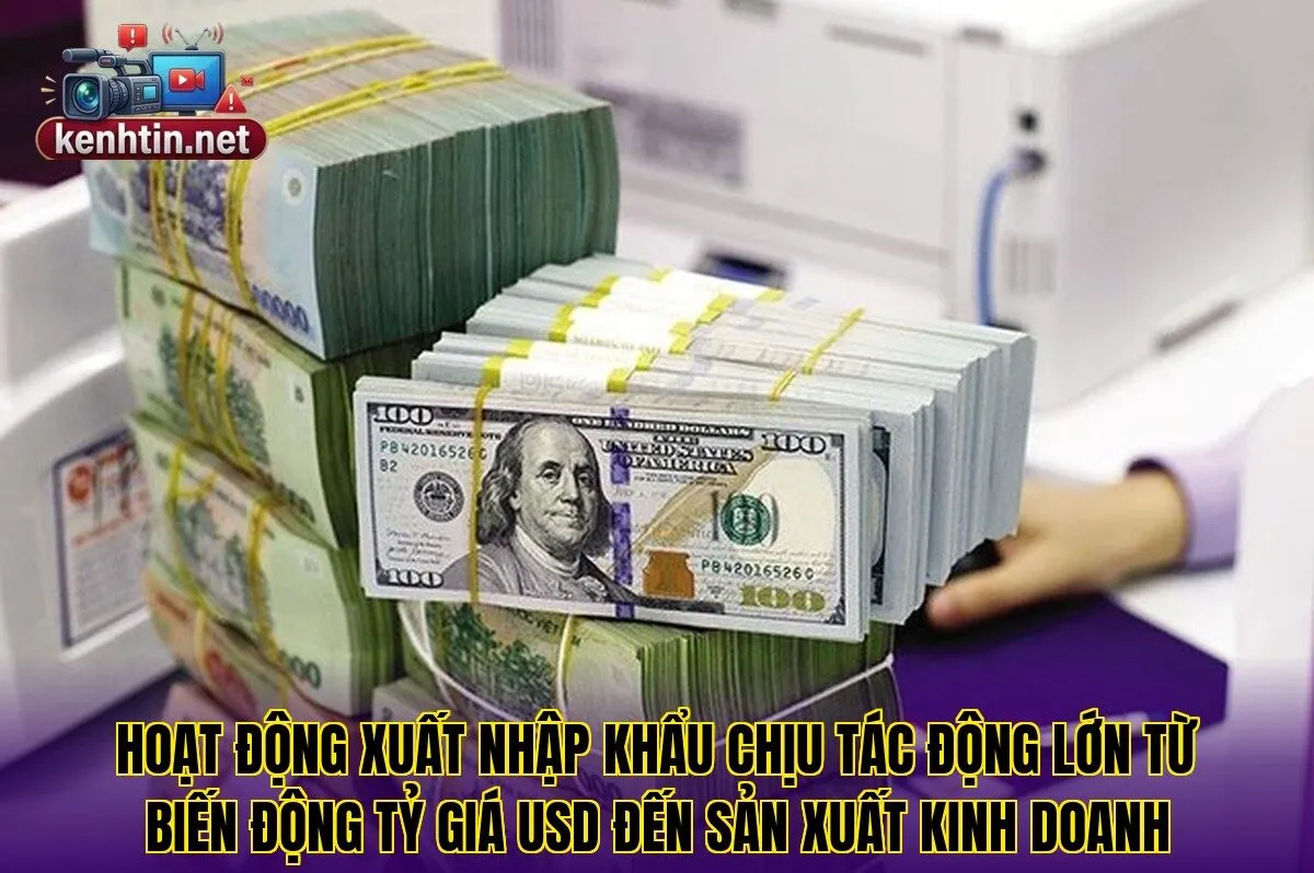 Hoạt động xuất nhập khẩu chịu tác động lớn từ biến động tỷ giá USD đến sản xuất kinh doanh
