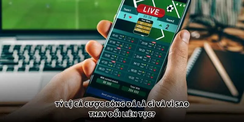 Tỷ Lệ Cá Cược Bóng Đá Là Gì Và Vì Sao Thay Đổi Liên Tục?